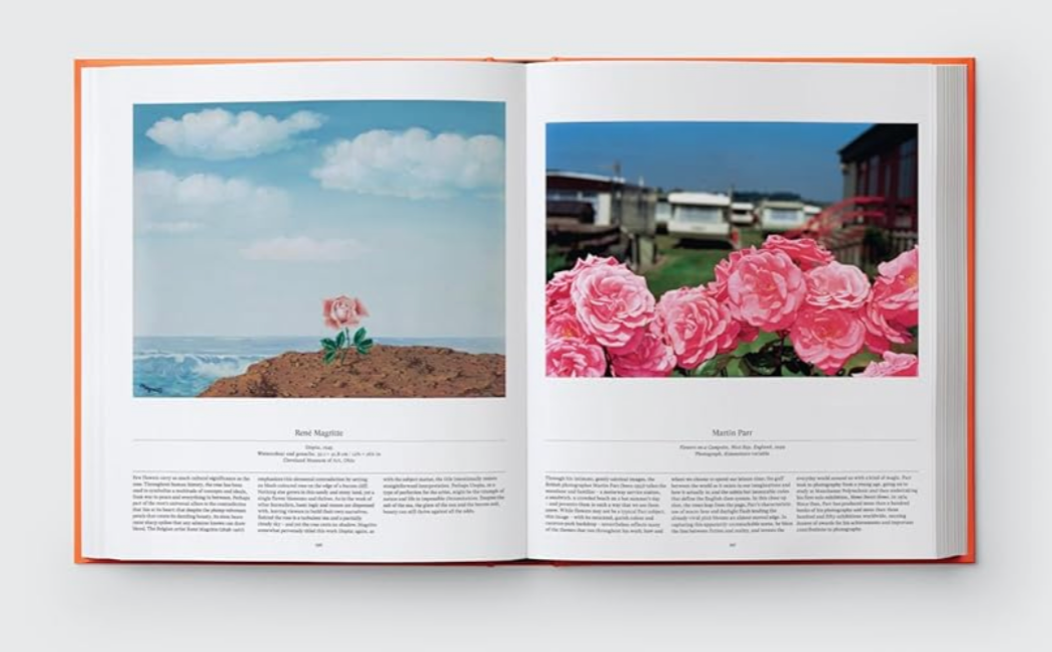 Flower: Exploring the World in Bloom