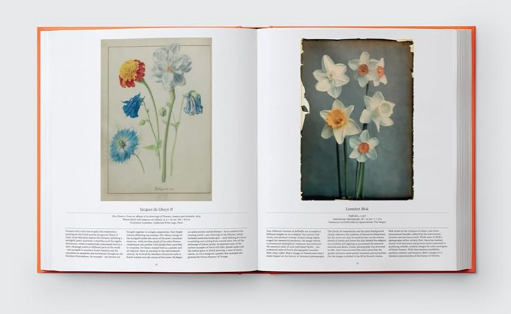 Flower: Exploring the World in Bloom