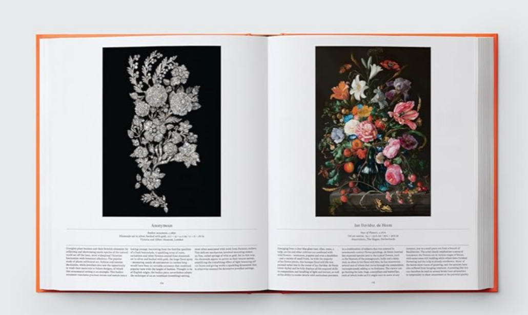 Flower: Exploring the World in Bloom