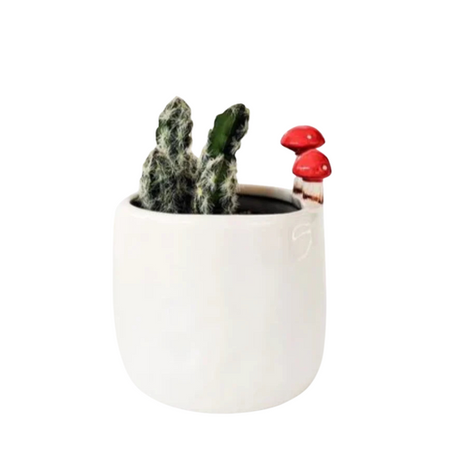 Toadstool Planter White 13cm