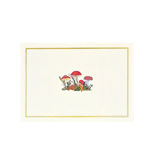 Mushroom Note Cards