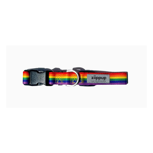 Rainbow Recycled Dog Collar