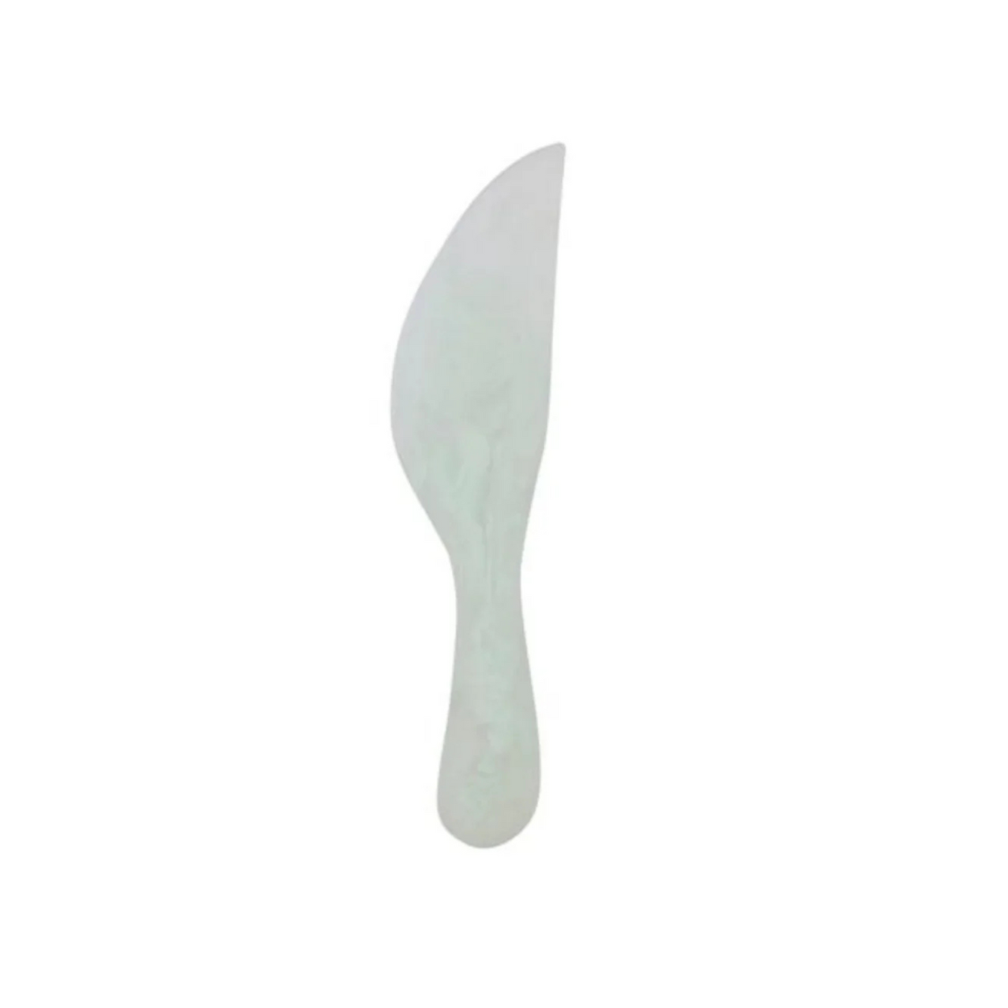 Kip Resin Cheese Knife in Mint