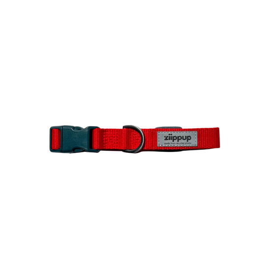 Red Recycled Dog Collar