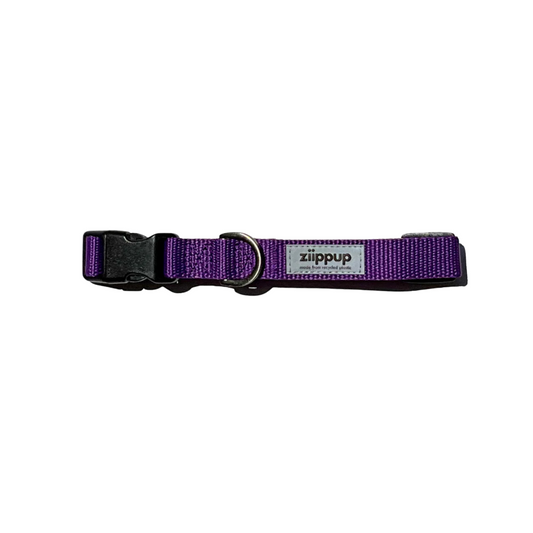 Purple Recycled Dog Collar