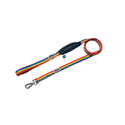 Rainbow Dog Leash with Built-in Poop Bag Holder