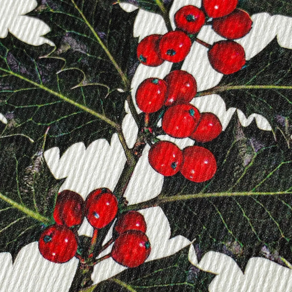 Christmas Holly - Holiday Card