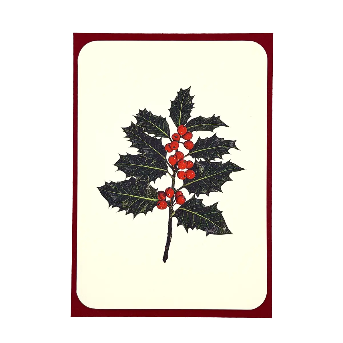 Christmas Holly - Holiday Card