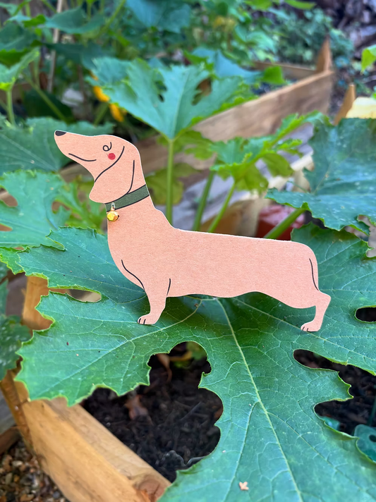 Standing Dachshund Sausage Dog Card