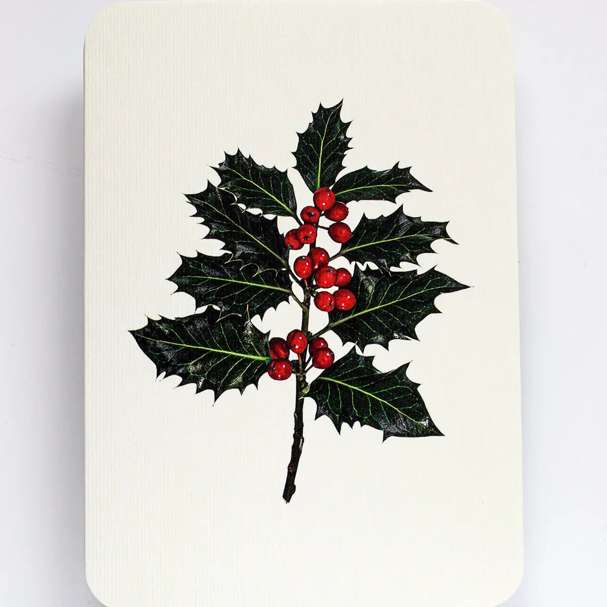 Christmas Holly - Holiday Card