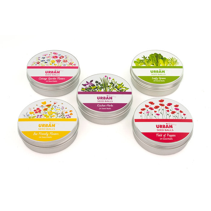 Urban Seed Balls