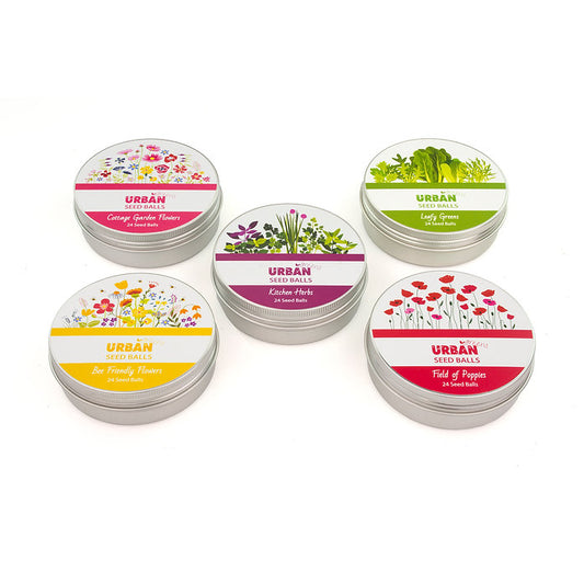 Urban Seed Balls