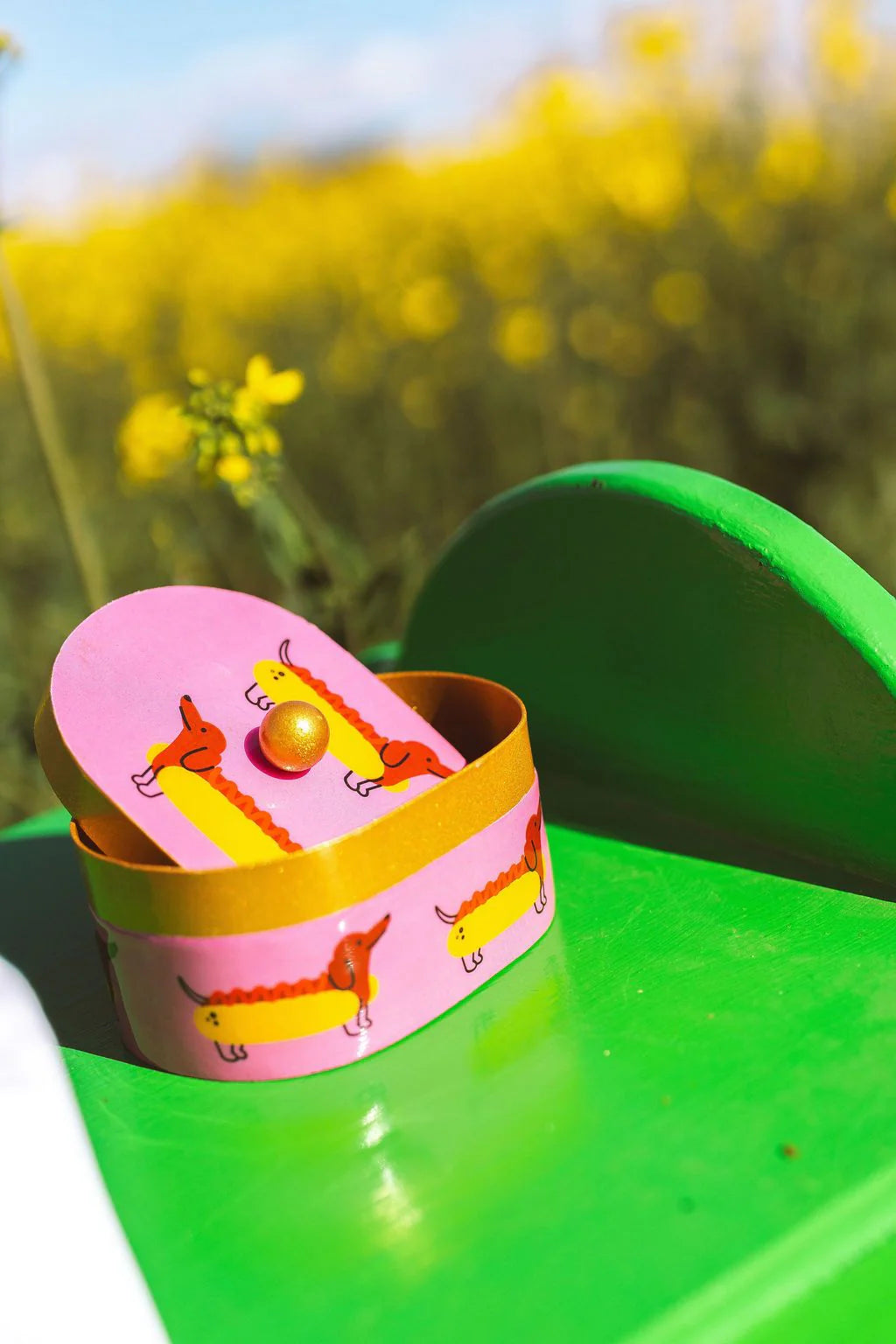 Hot Dog Trinket Box