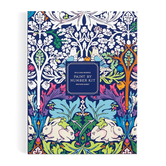 Brother Rabbit Paint by Number Kit
