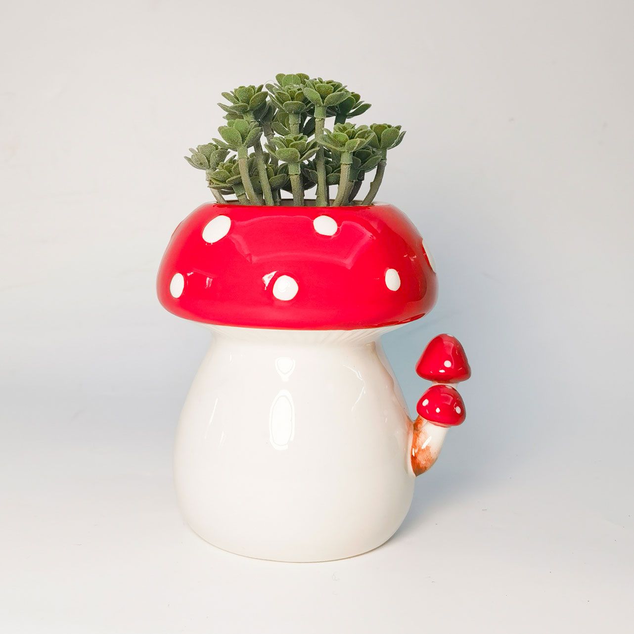 Toadstool with Toadstools Planter